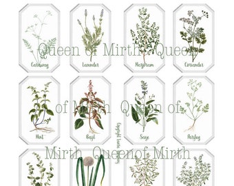 Herb & Spice Apothecary Labels garden stakes kitchen printable digital download collage sheet journaling crafts card making scrapbooking