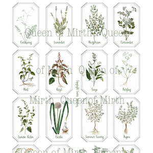 Herb & Spice Apothecary Labels garden stakes kitchen printable digital download collage sheet journaling crafts card making scrapbooking