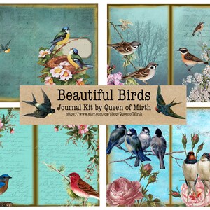 Kit Journal splendidi uccelli variopinti teal natura Tag download digitale stampabile collage foglio journaling carta facendo scrapbook