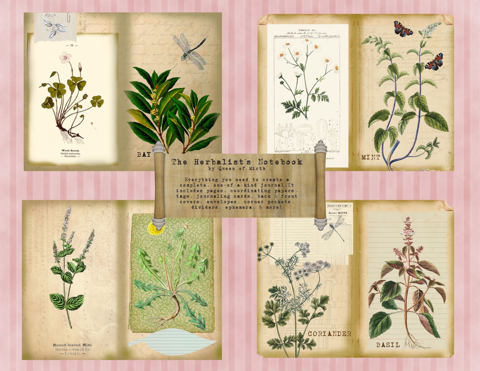 The Herbalist's Notebook Journaling Kit Collage Sheet Etsy