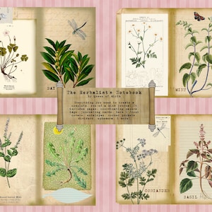 The Herbalist&#39;s Notebook Journaling Kit collage sheet digikit garden digital set download junk journal handbook scrapbooking book decoupage