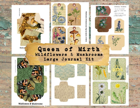 Chaussures De Randonnée Lowa Renegade GTX Mid Pour Hommes – Imperméables Gore-Tex, Tige Moyenne – Fabriquées En Slovaquie