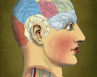 Brain Motion Potion Herbal Tincture: Vegan Focus Memory Matcha