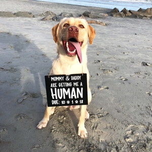 Pregnancy Announcement Dog Sign | Mommy & Daddy are getting me a HUMAN | Due Date Sign