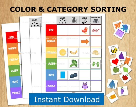 Color Sorting Activity Classification Printable for | Etsy