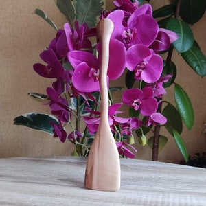 Hard wooden spatula for cooking