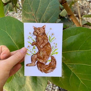 Cat sticker