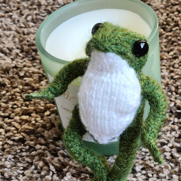 Knit Green Frog Realistic Green Frog Froggie Mister Frog Small handknit frog Cute Frog doll with outfit