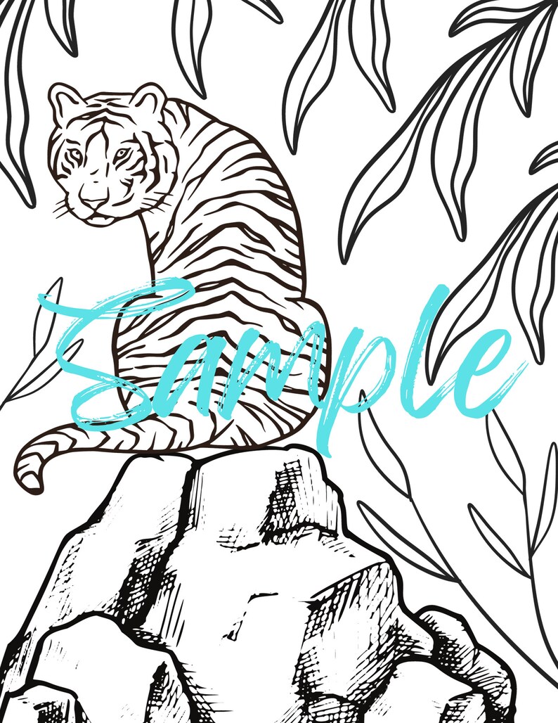 Tiger, Tiger Instant Download Coloring Page,tiger Cat Color Page,tiger