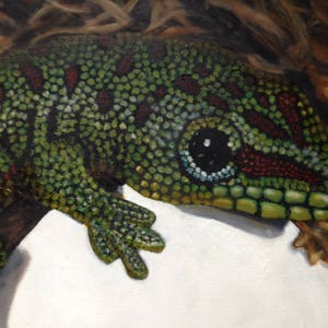 May include: A close-up of a green gecko with red and black markings. The gecko is perched on a white surface with its head turned to the side. The gecko's eye is visible and has a black pupil and a light brown iris.