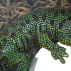 May include: A close-up of a green and red patterned lizard with a black eye. The lizard is painted on a white background.