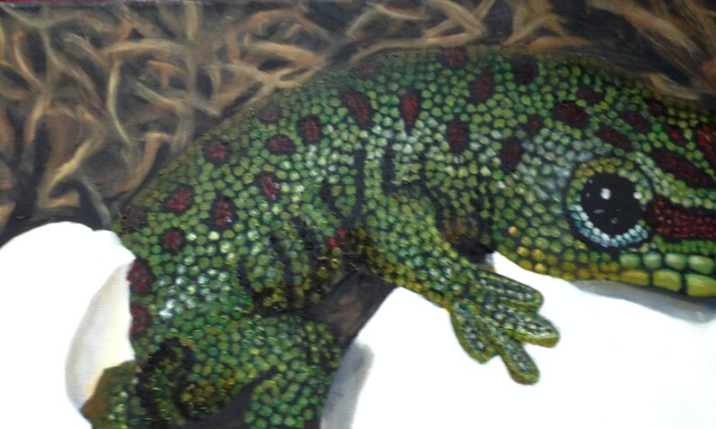 May include: A close-up of a green and red patterned lizard with a black eye. The lizard is painted on a white background.