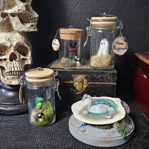 Puede incluir: Tres frascos de vidrio con tapas y varios elementos decorativos en su interior. Los frascos están sobre un estante de madera con una caja negra debajo. Los frascos están etiquetados con "Fresno Nightcrawler", "Nohmata" y "Fresno Nightcrawler".