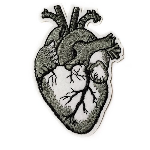 Anatomical Heart Brooch Pin Etsy