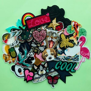 surprise Patch bundle where categories can be chosen such as birds, cute kawaii patches, terrier dog patch, flamingo, koi carp, black rose iron on, …