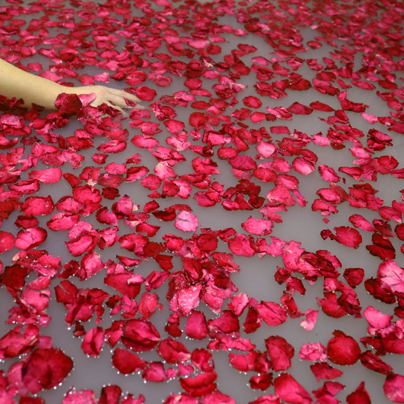 Hestya 100 Grams Dried Rose Petals Red Real Flower Rose Petal for Bath Foot Bath Wedding Confetti Crafts Accessories, 1 Bag