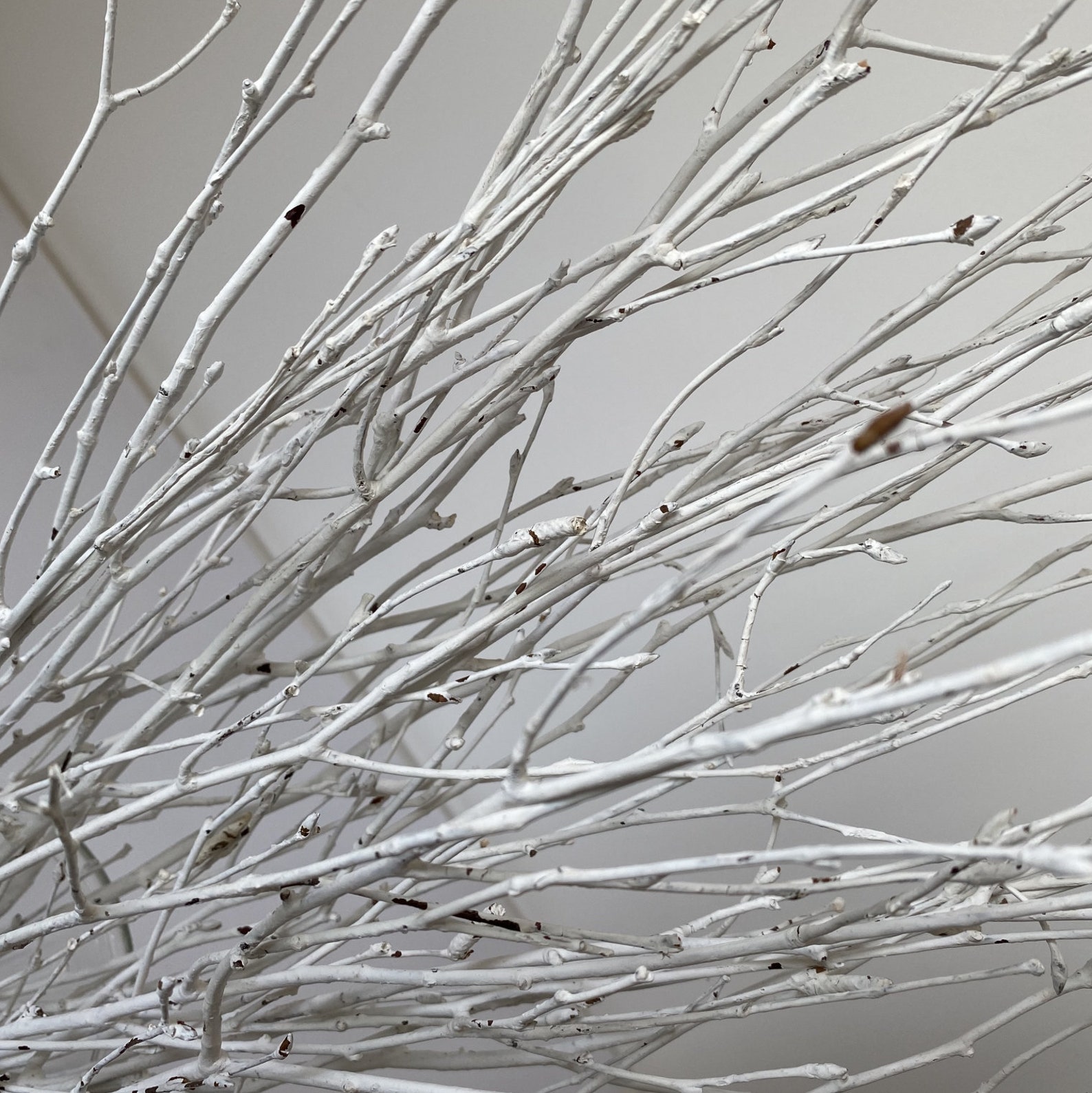 Decorative Birch Branches for Saleglittered Birch Stemsdried Etsy