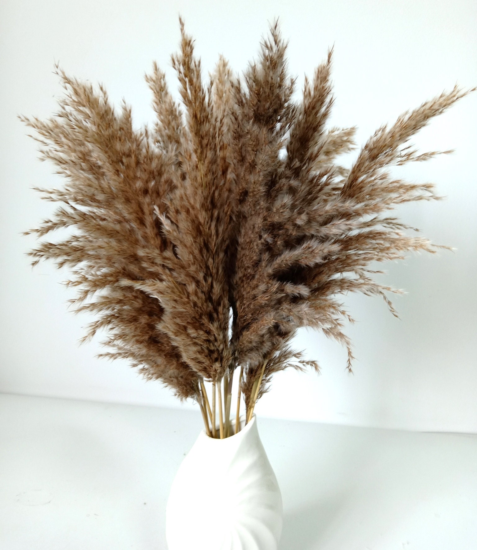 Natural Dried Boho Pampas Grass Decor Phragmites Etsy