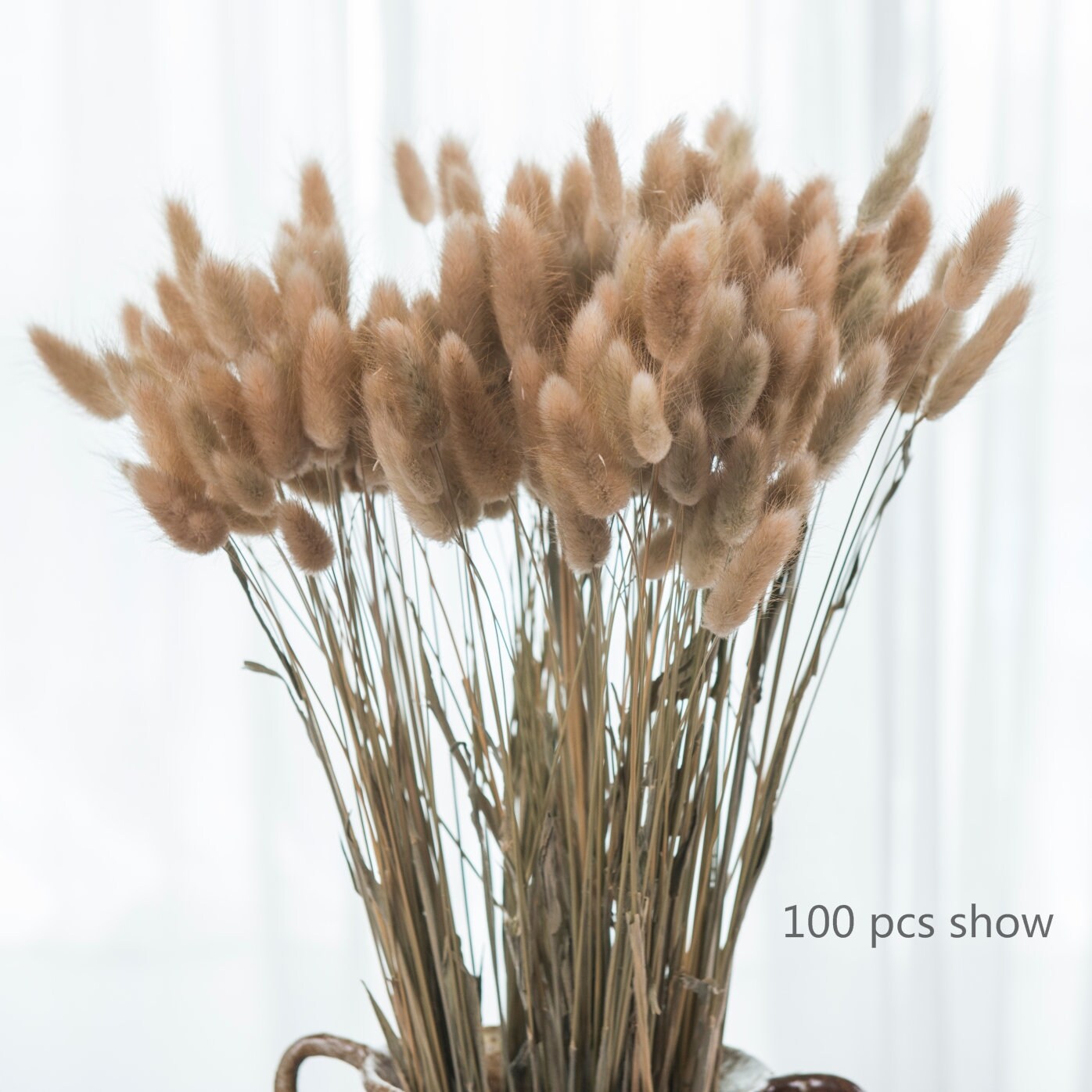 Flowers Plants Outdoor & Gardening Dry Bunny Tail Grass Preserved