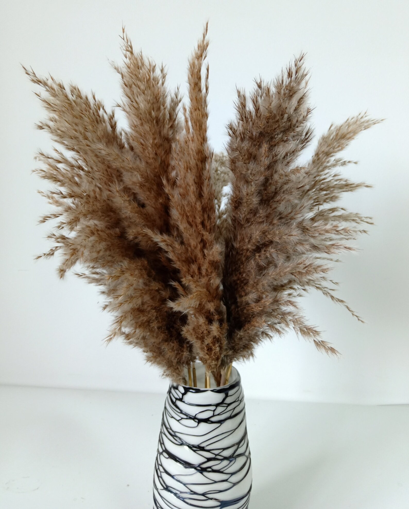 Natural Dried Boho Pampas Grass Decor Phragmites Etsy