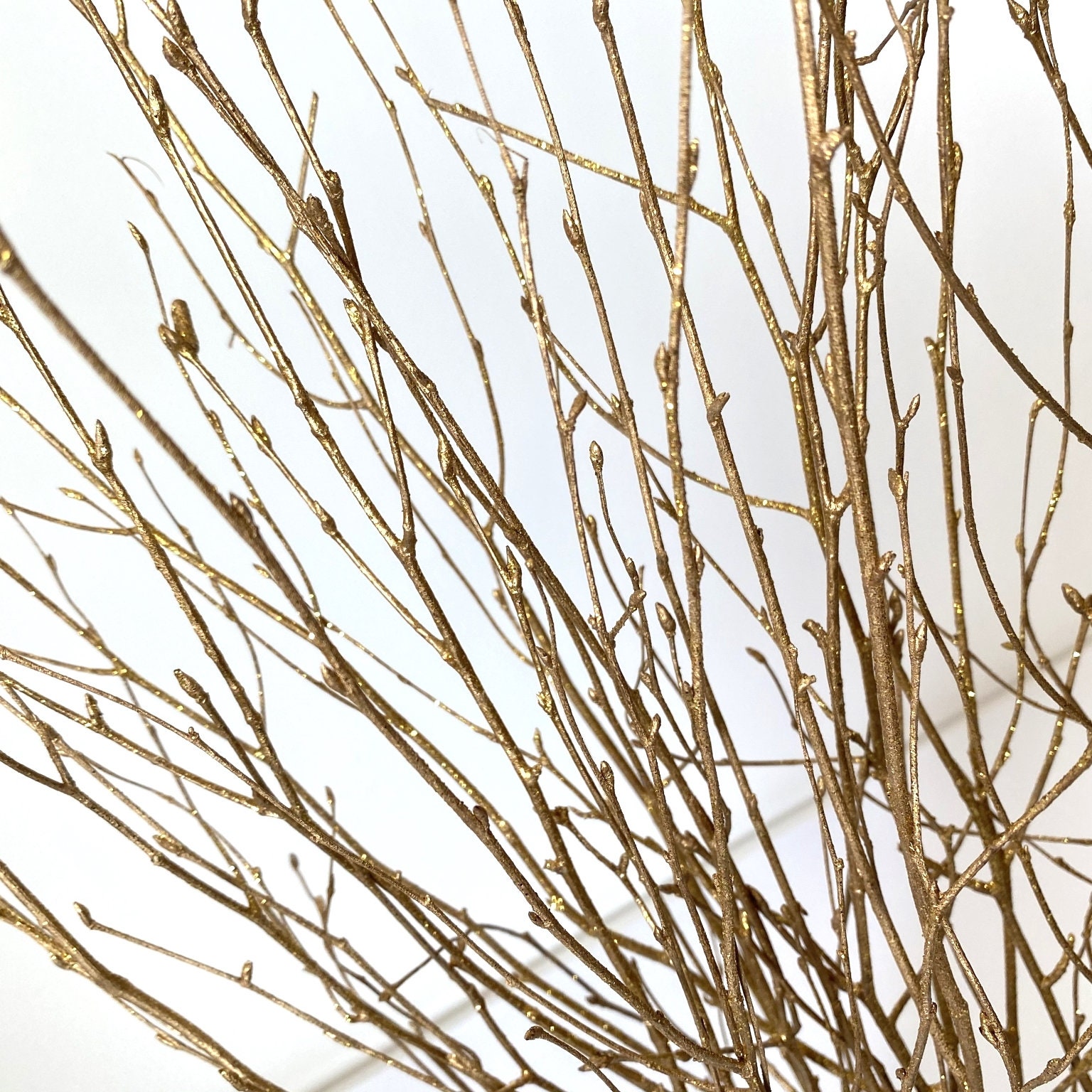 Decorative Birch Branches for Saleglittered Birch Stemsdried Etsy Australia