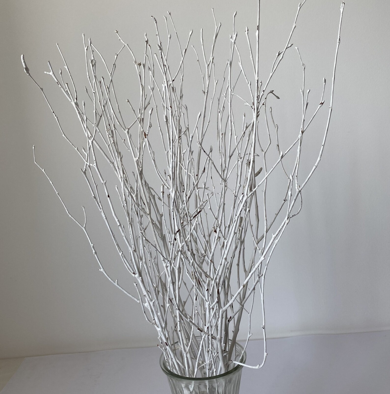 Decorative Birch Branches for Saleglittered Birch Stemsdried Etsy