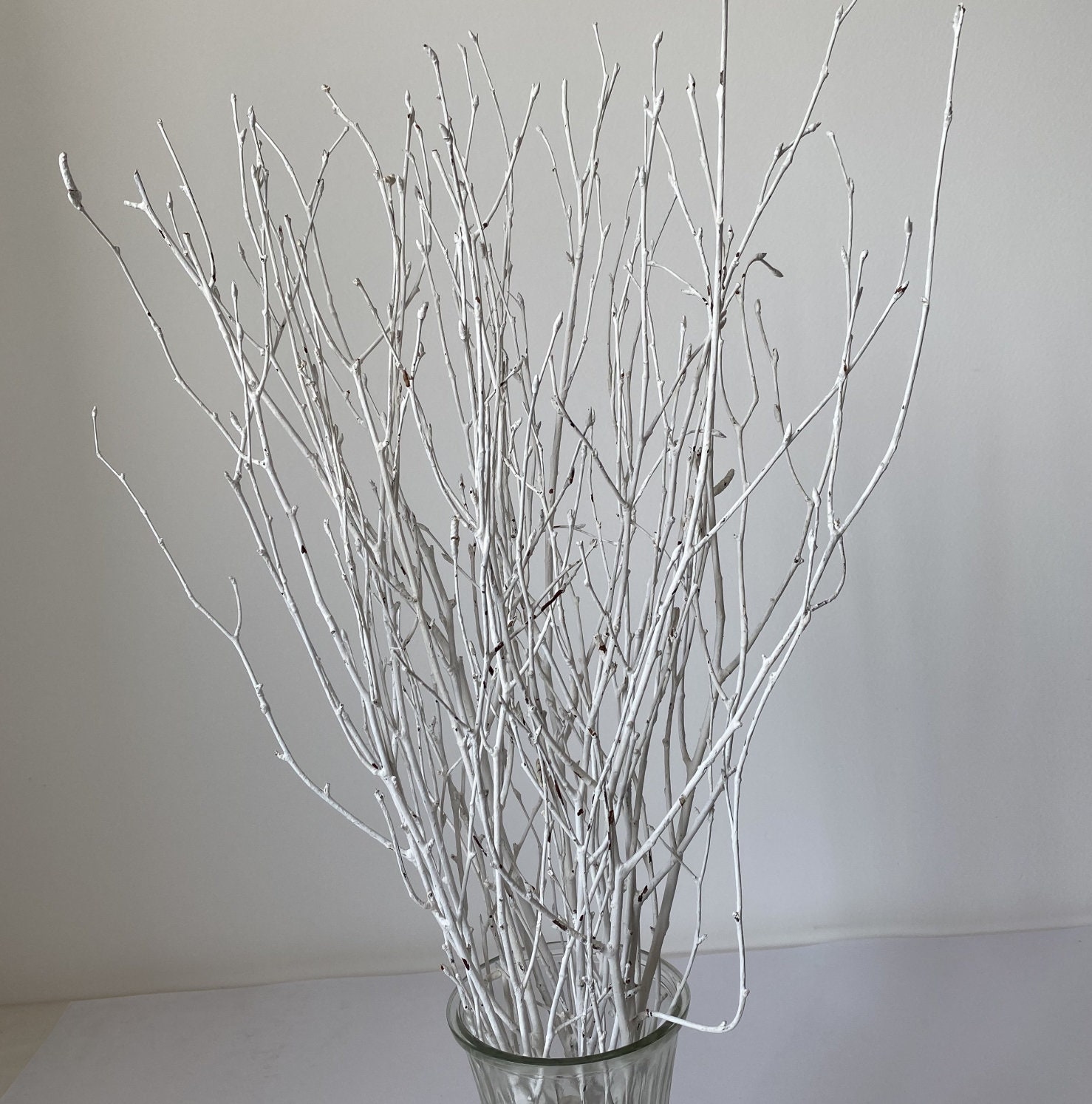 Decorative Birch Branches for Saleglittered Birch Stemsdried Etsy