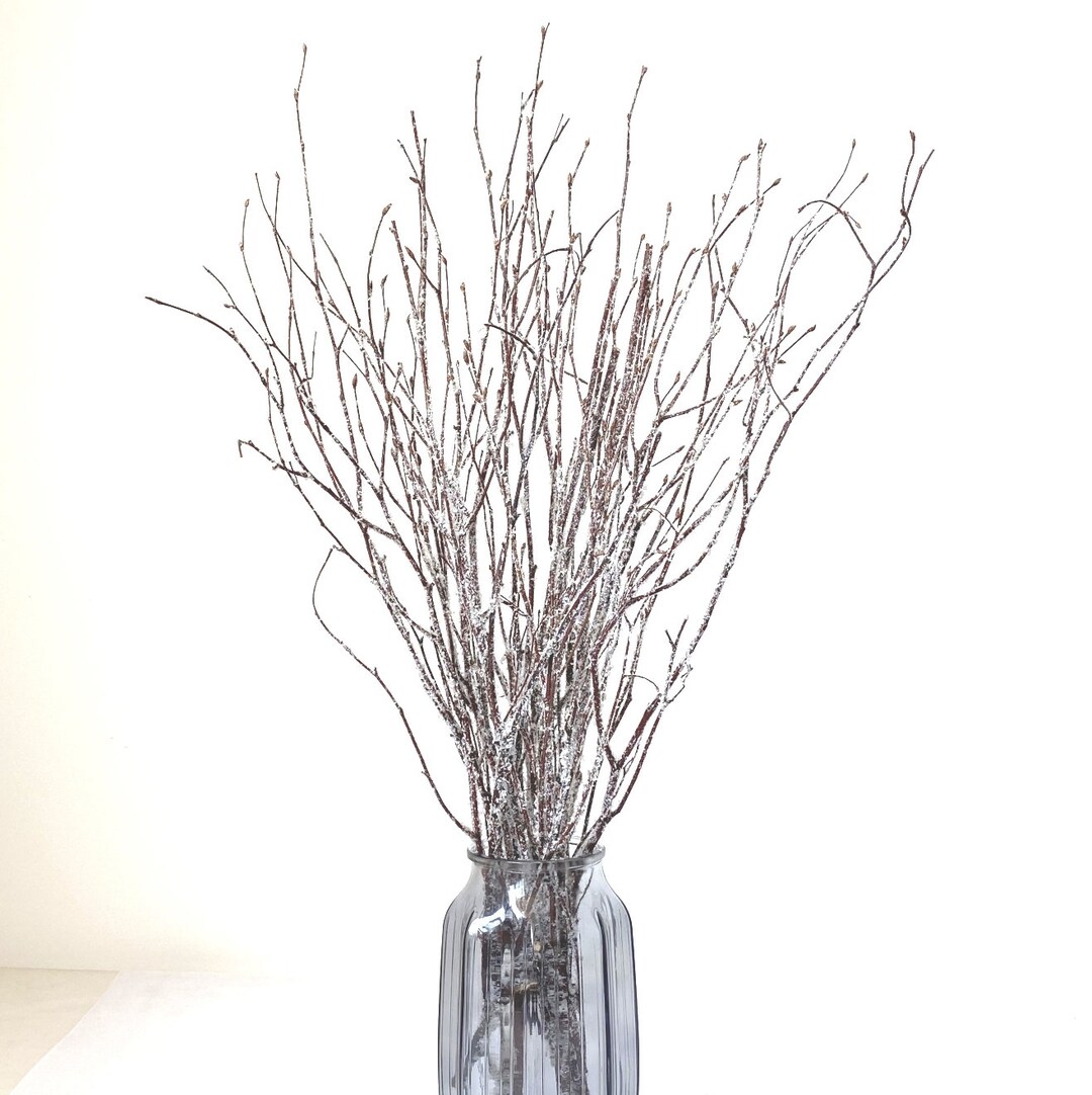 Decorative Birch Branches for Saleglittered Birch Stemsdried Etsy