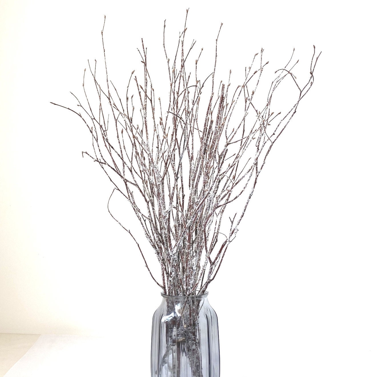 Decorative Birch Branches for Saleglittered Birch Stemsdried Etsy