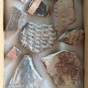 May include: A collection of ancient pottery shards in a cardboard box, resting on white padding. The fragments vary in size, shape, and color, with some displaying painted geometric patterns in black, red, and white. The box is placed on a green surface with an inch ruler.