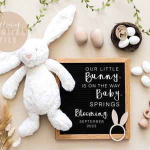 SPRING Pregnancy ANNOUNCEMENT for Social Media, Easter Pregnancy Announcement, Digital Pregnancy Announcement, Easter Baby Bunny, sweet baby