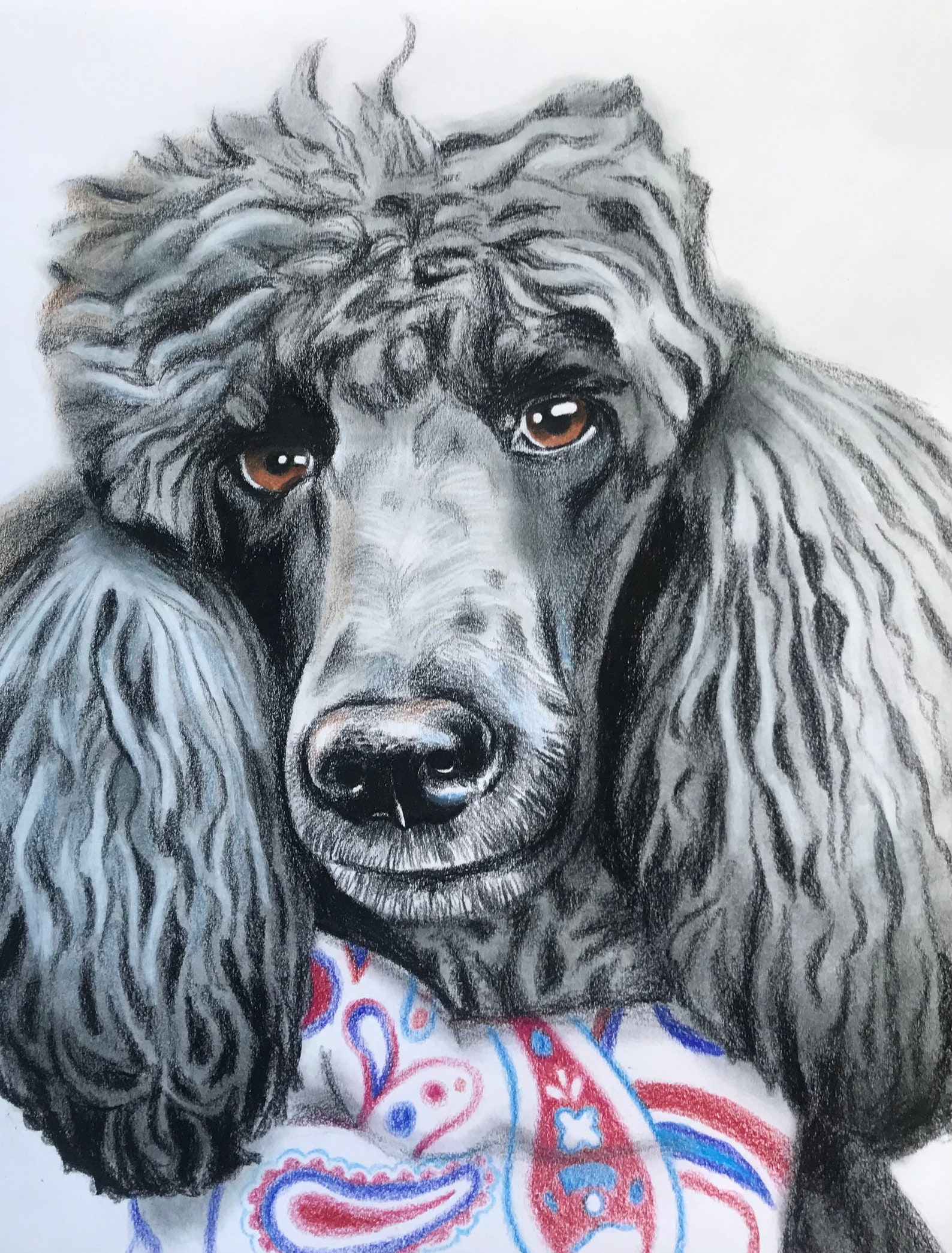 Buntstift Hund Portrait Zeichnung Etsy