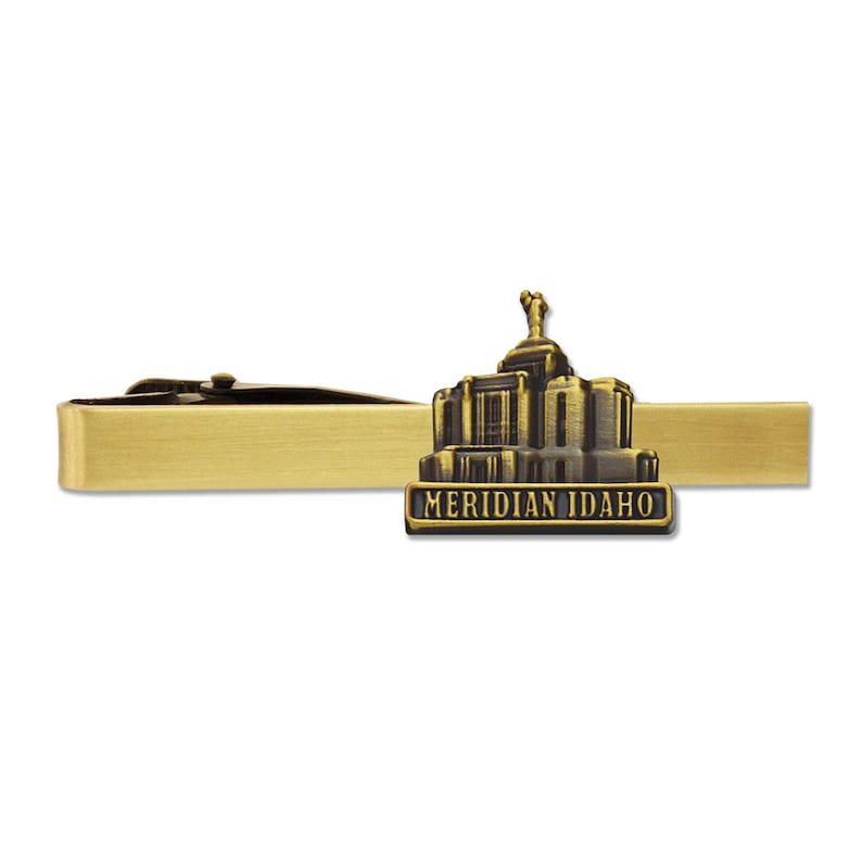 Meridian Idaho Temple pin silver or gold finish Lapel pin
