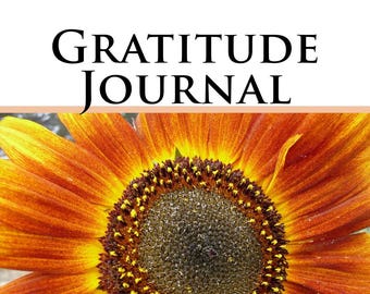 Gratitude Journal, guided