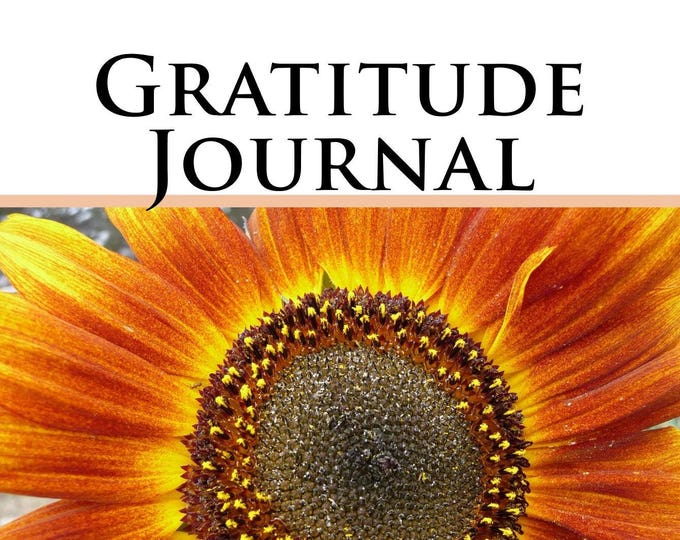 Gratitude Journal, guided