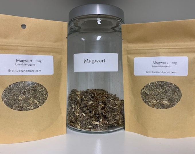 Mugwort herb, herbal, natural, tea, botanical, wildcrafted