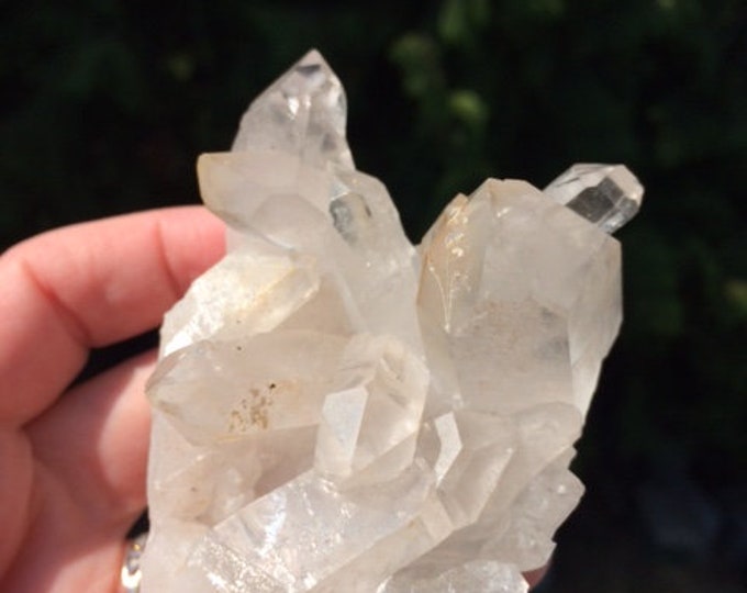 Clear Quartz Cluster