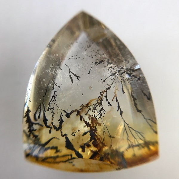 11.78 ct Dendritic Agate, Nature Dendritic Agate, Triangle Shaped Loose Gemstone, Polished Gemstone, Dendritic Agate Emerald, Natural Agate