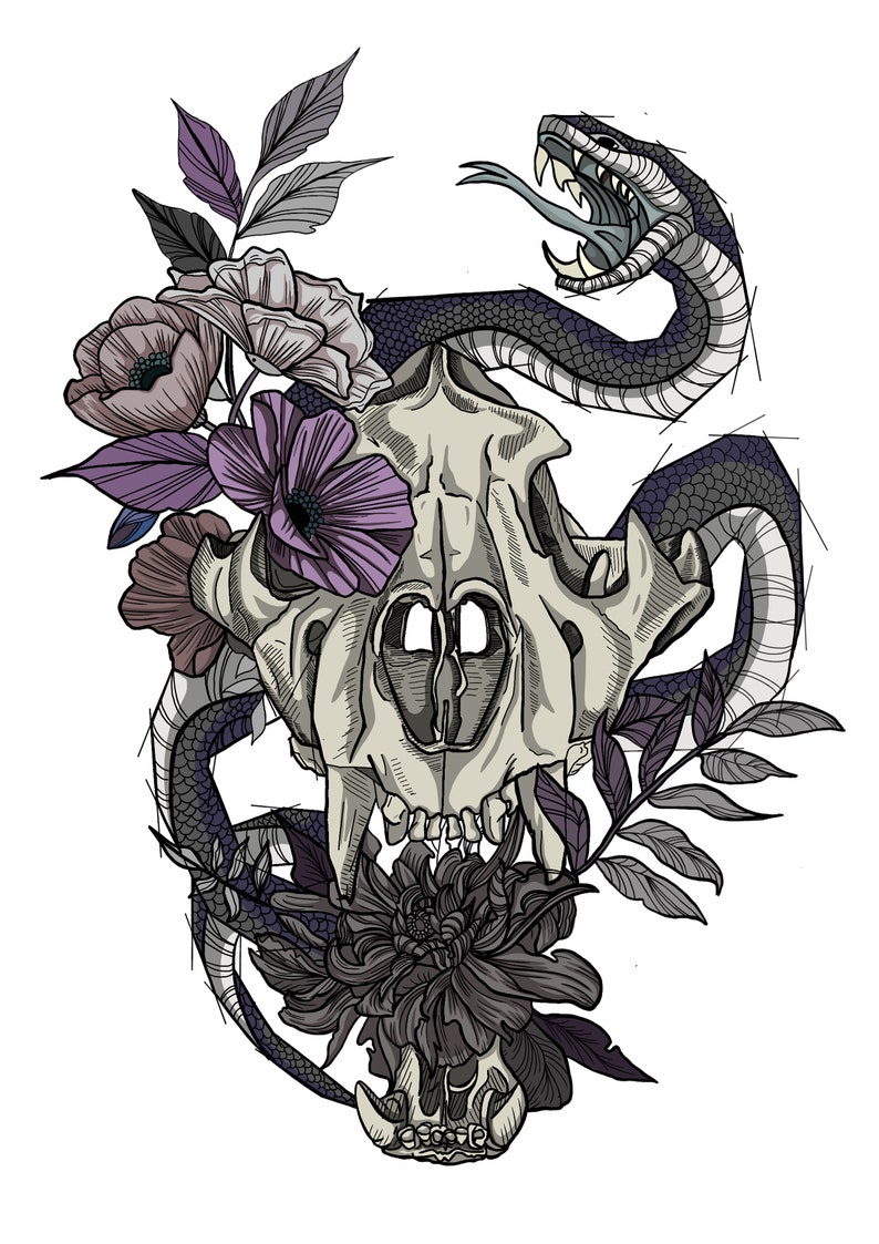 May include: Illustration of a skull with a snake and flowers. The skull is light gray, with a snake wrapped around it. Purple and gray flowers and leaves are also present, all on a white background.