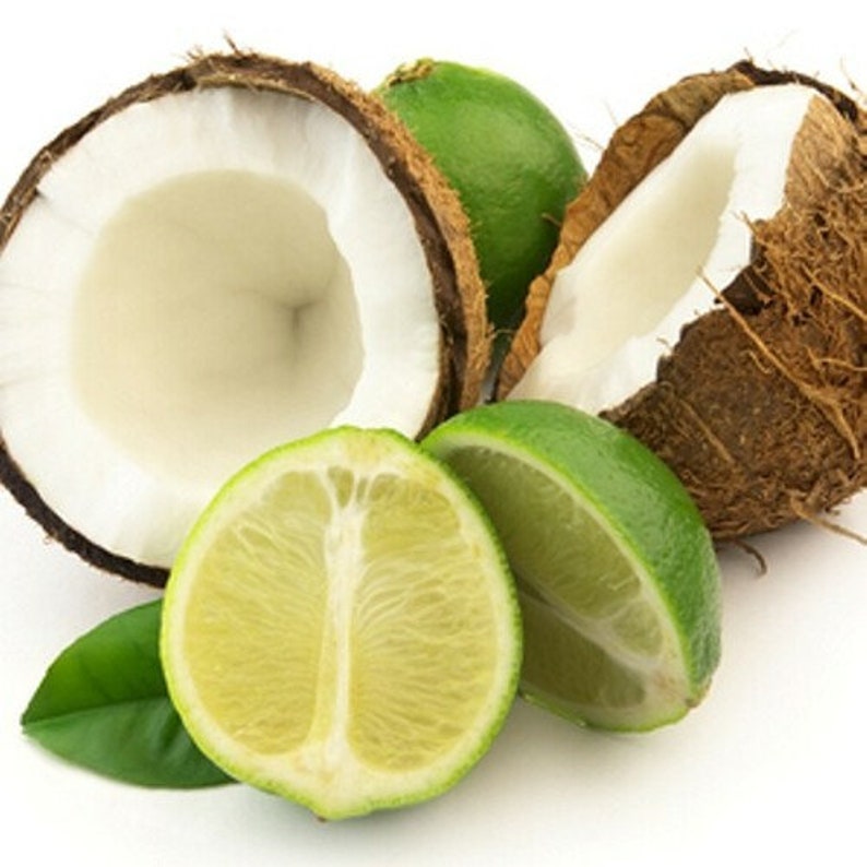 Coconut Lime Verbena Fragrance Oil 16oz Etsy