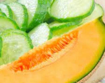 Cucumber Melon Fragrance Oil 01oz