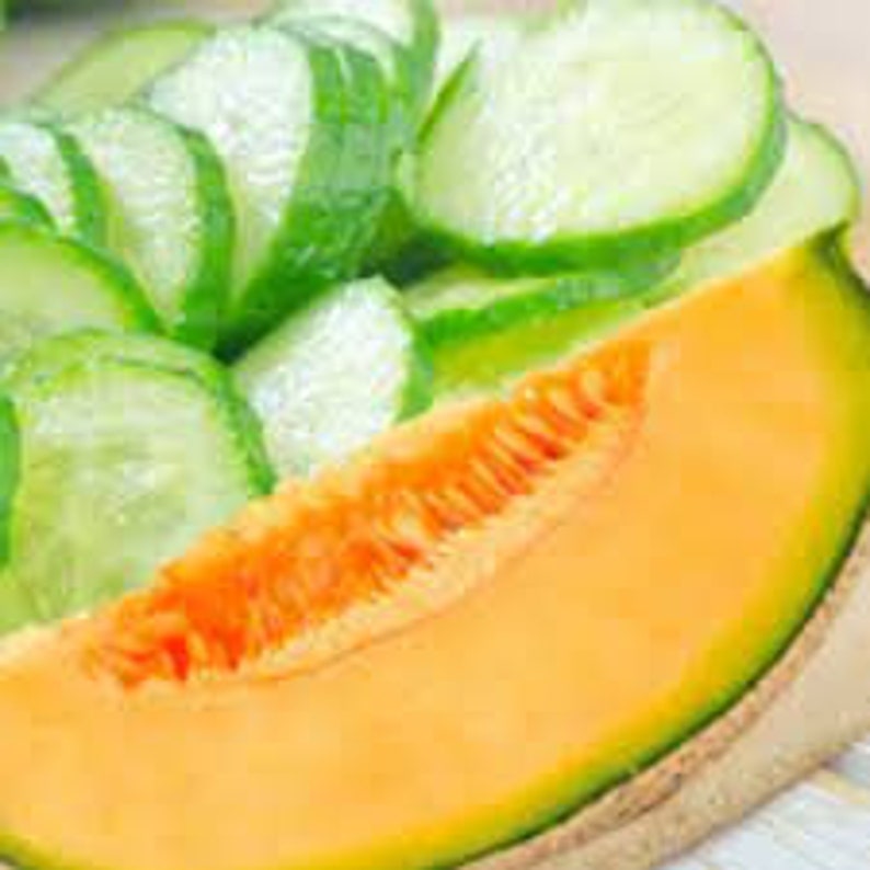 Cucumber Melon Fragrance Oil 01oz image 1