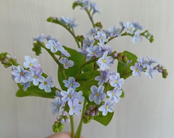 Handgjord förgätmigej-bukett, blå blommor, kallt porslinsblomsterarrangemang, verkliga och eviga blommor, present till stugdekoration