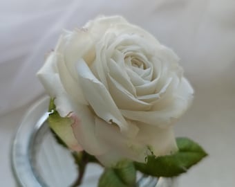 Porcelain white rose,Real touch porcelain flowers,Polymer clay realistic rose, Artificial rose branch, English garden rose,Single long stem