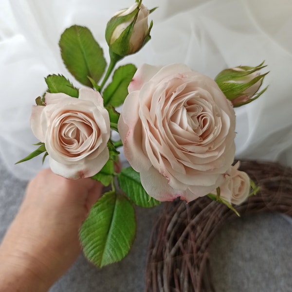 Rose rose blush, rose de jardin réaliste en argile polymère, fleurs en porcelaine au toucher réel, branche de rose artificielle, rose de jardin anglaise, tige longue unique