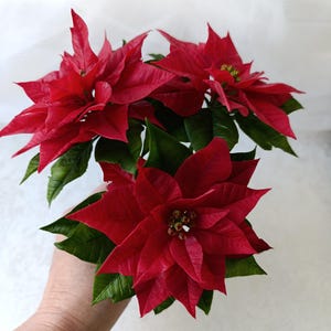 Porcelain red Christmas Poinsettia,Polymer clay Poincettia ,Holiday Floral Centerpiece, Attention-getting table decor,Christmas flowers