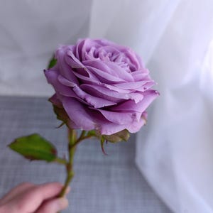 Rosa morada de porcelana, flores de porcelana de tacto real, rosa realista de arcilla polimérica, rama de rosa artificial, rosa de jardín inglés, tallo largo único