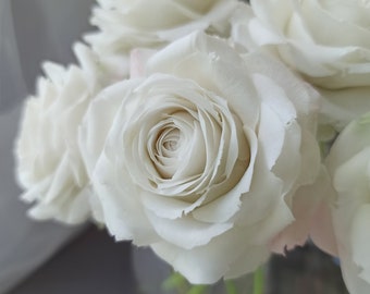 May include: A bouquet of white roses in a clear glass vase. The roses are arranged in a cluster, with the stems visible.