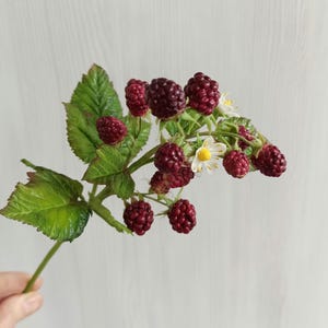 Polymer clay blackberry branch, Porcelain blackberry branches,  Real touch Blackberry, Fake blackberry berries