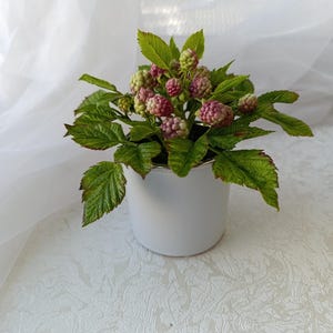 Polymer clay blackberry in a pot, Porcelain blackberry branches,  Real touch Blackberry, Fake blackberry berries